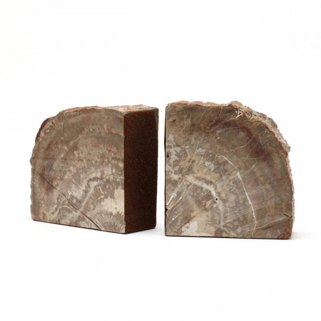 pair-of-petrified-wood-bookends