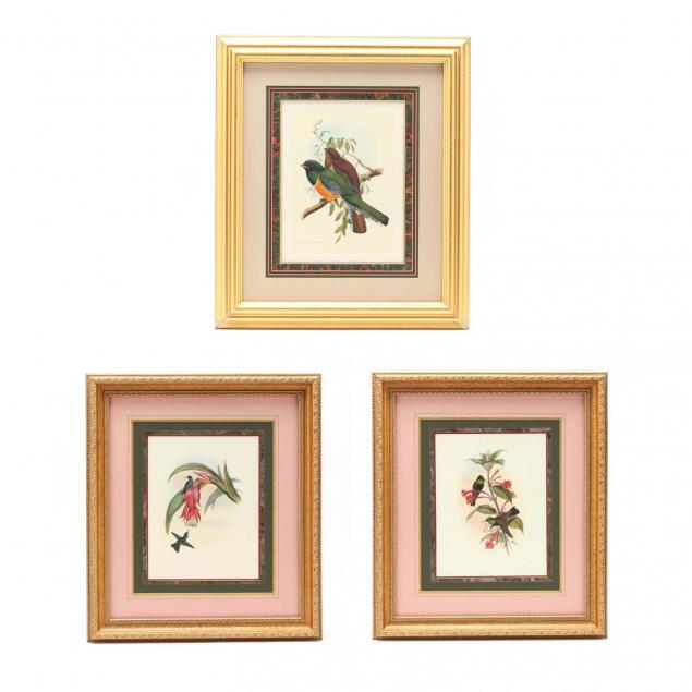 three-hummingbird-prints