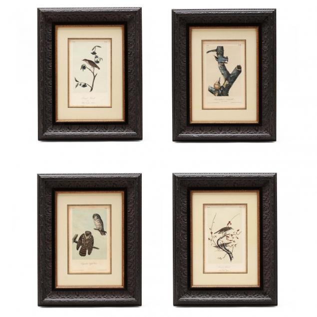 set-of-four-bird-prints