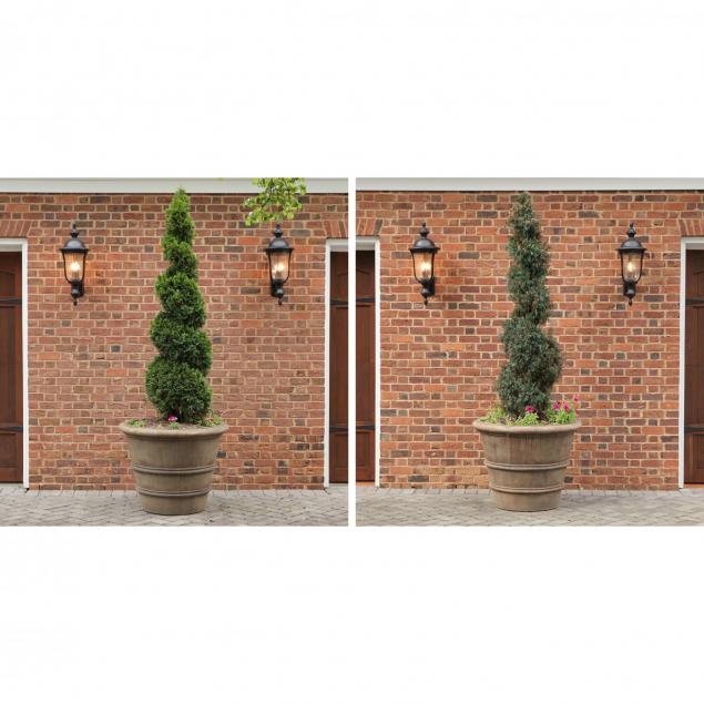 a-large-pair-of-planters