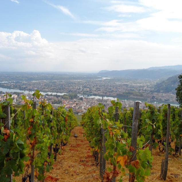 cotes-du-rhone-mania