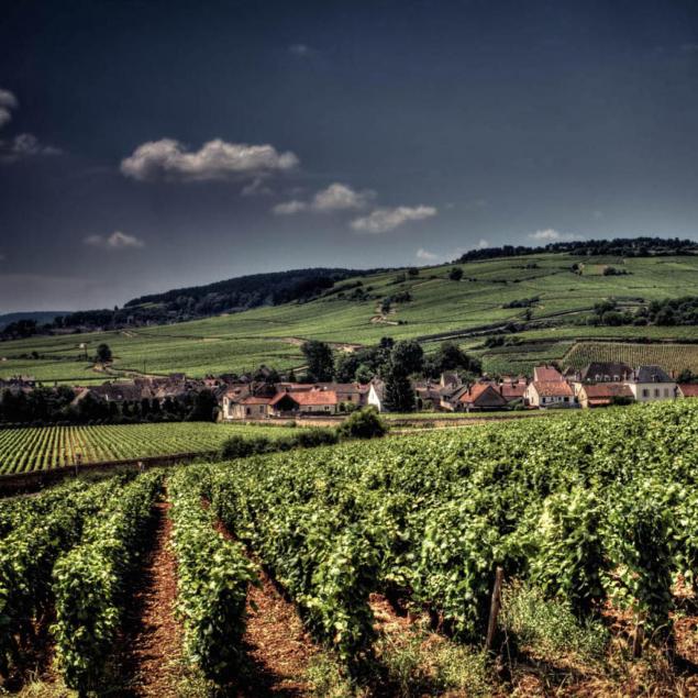 bourgogne-hautes-cotes-de-nuits-vintage-1992