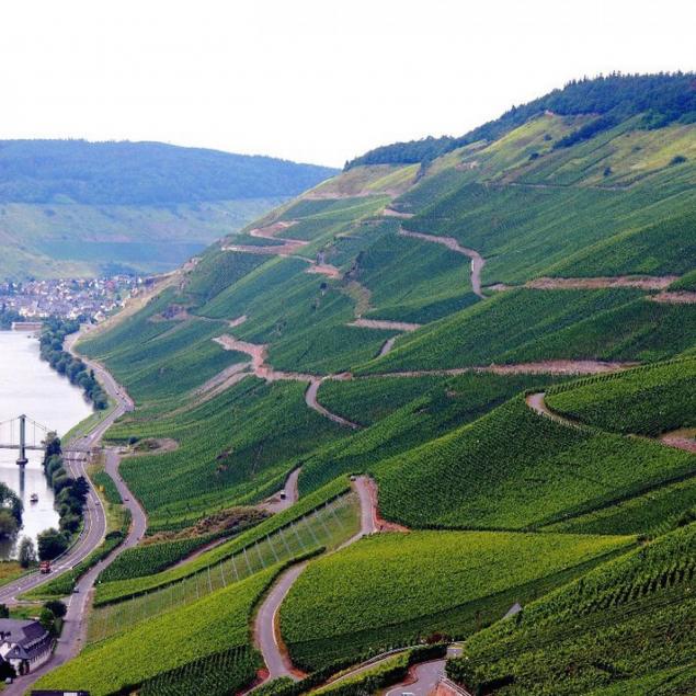 1976-1979-riesling-kabinett