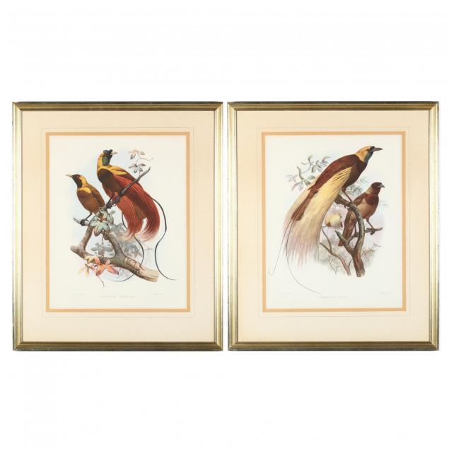 two-birds-of-paradise-prints-after-j-wolf-and-j-smith