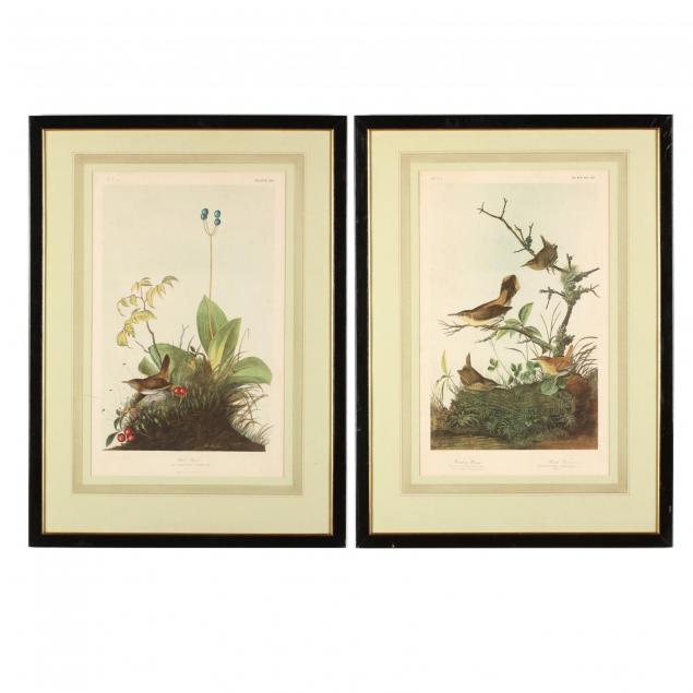 john-james-audubon-american-1785-1851-two-prints-illustrating-wrens