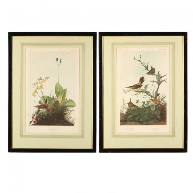 john-james-audubon-american-1785-1851-two-prints-illustrating-wrens