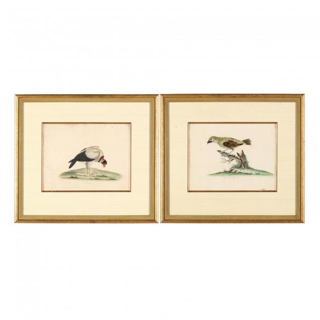 william-hayes-british-1729-1799-two-prints-from-i-rare-and-curious-birds-from-the-menagerie-of-osterly-park-i