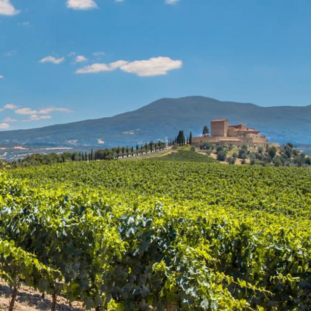 the-wine-director-s-mom-s-bordeaux-favorites