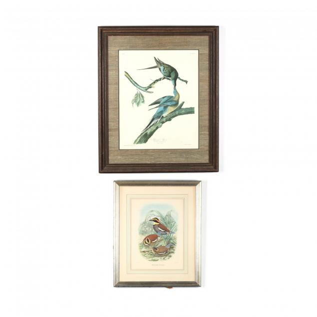 two-ornithological-prints-audubon-and-elliott