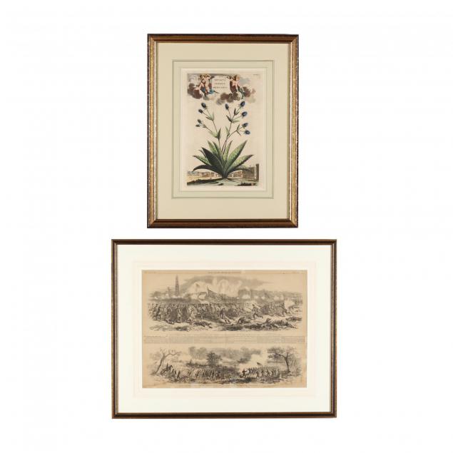 two-framed-antique-prints