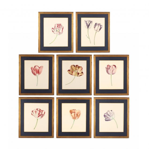 rory-mcewen-british-1932-1982-group-of-8-framed-tulip-prints