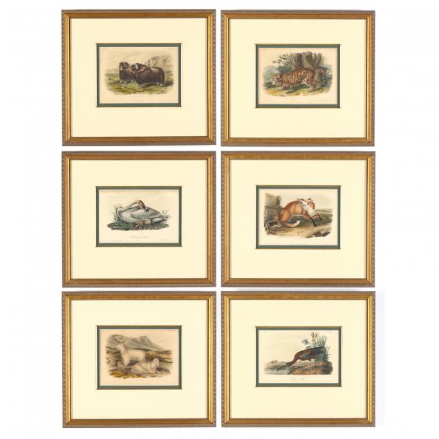 after-john-james-audubon-am-1785-1851-group-of-6-framed-octavo-prints
