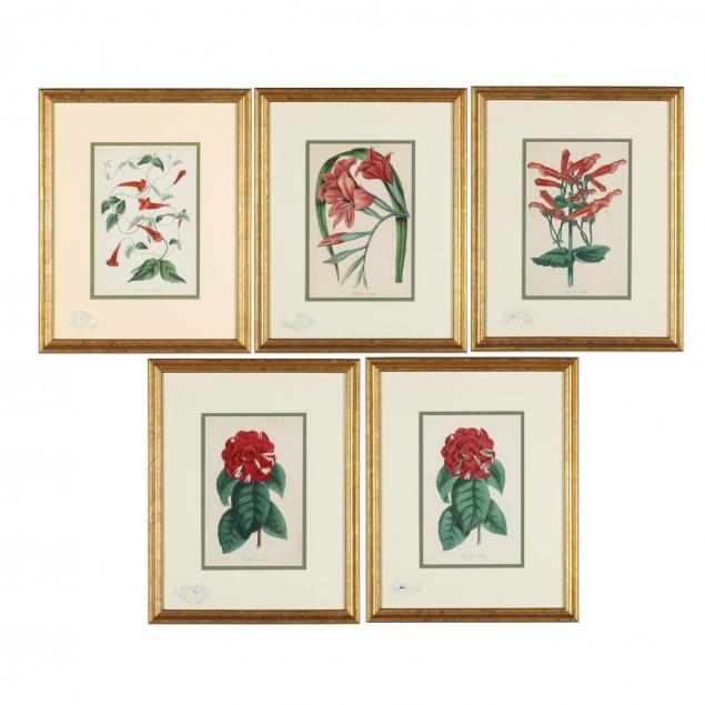 e-w-smith-philadelphia-five-hand-colored-botanical-engravings