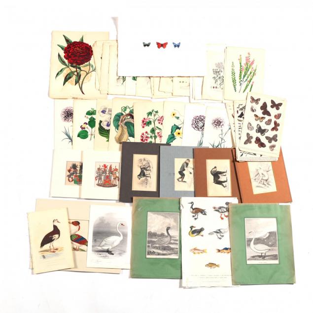 group-of-50-assorted-antique-prints-primarily-zoological-and-botanical