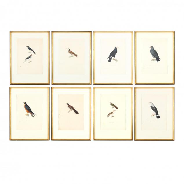 jean-gabriel-pretre-1768-1849-eight-studies-of-birds