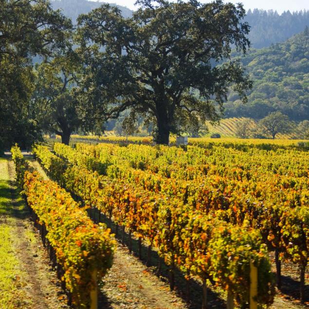 2006-2009-pride-mountain-vineyards-vertical