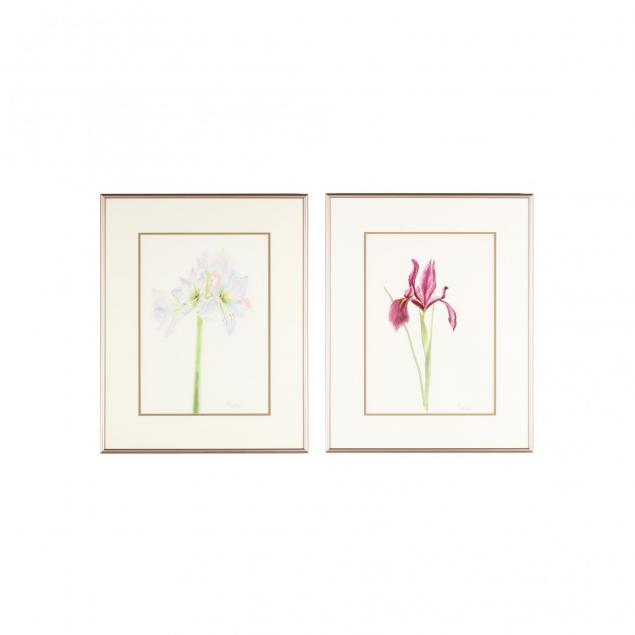 mary-ellen-golden-nc-two-botanical-watercolor-paintings