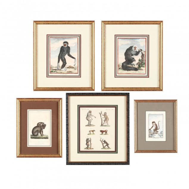 group-of-5-early-french-engravings-of-mammals-primarily-monkeys