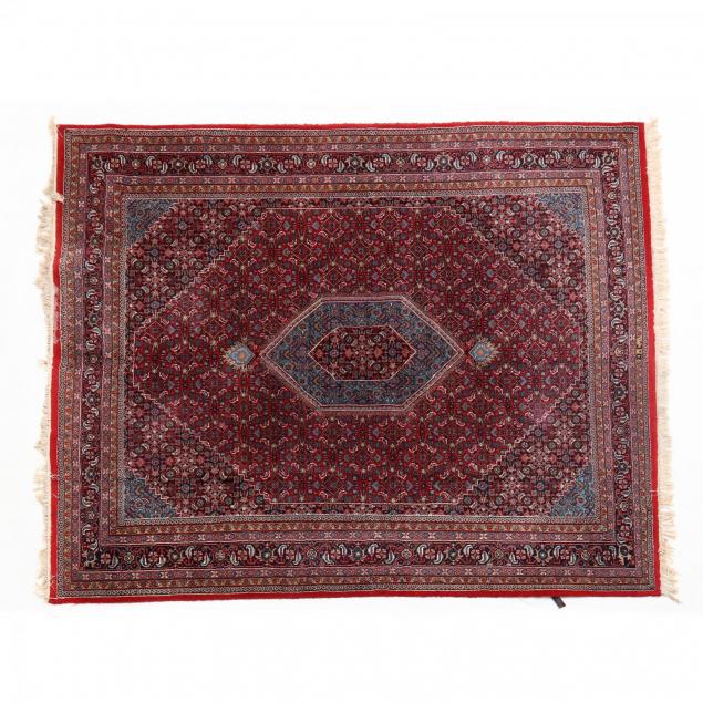 indo-bijdar-rug