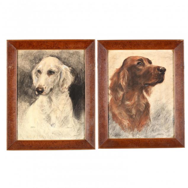 pair-of-dog-portraits-by-eleanor-litchfield