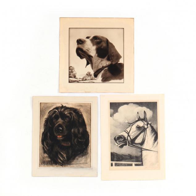 three-animal-portraits-george-ford-morris-and-eleanor-litchfield