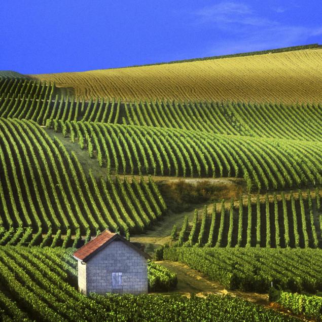 laurent-perrier-champagne-vintage-2002