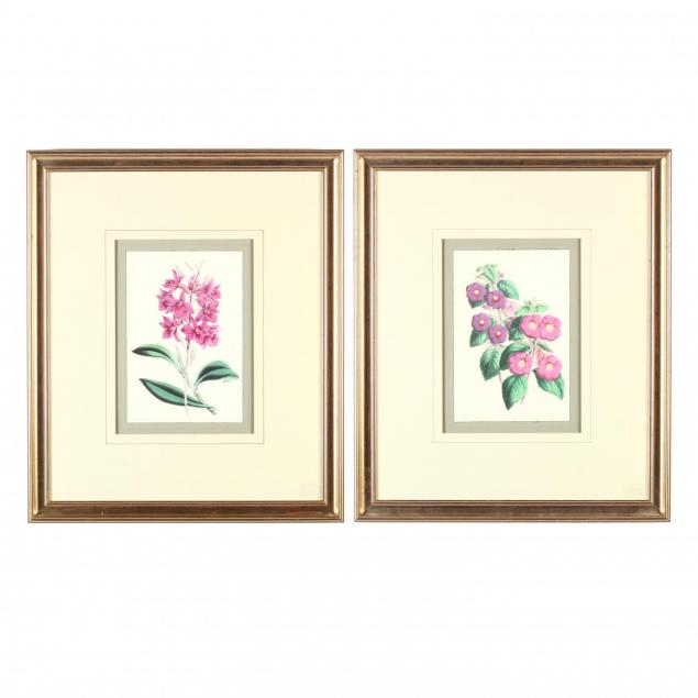 pair-of-decorative-botanical-prints