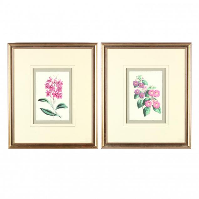 pair-of-decorative-botanical-prints
