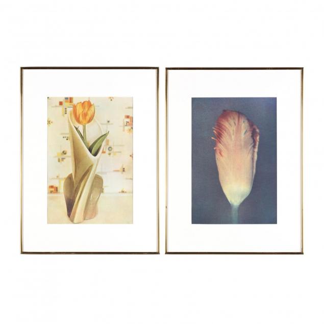 sheila-metzner-american-b-1939-two-floral-fresson-prints