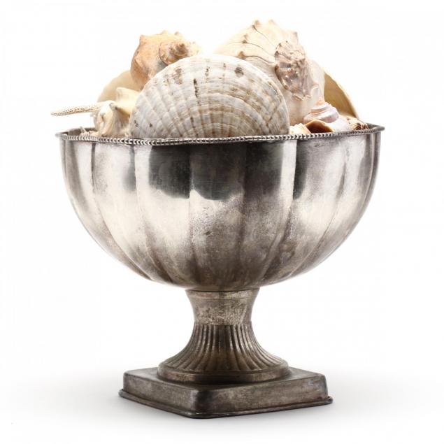 seashell-collection-displayed-in-a-pedestal-bowl