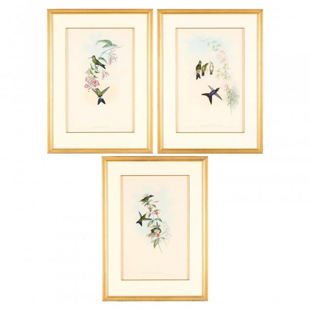 three-gould-and-richter-hummingbird-lithographs