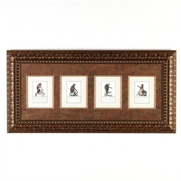 large-framed-presentation-of-four-primate-prints