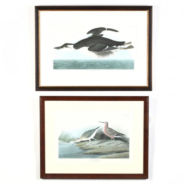 after-john-james-audubon-american-1785-1851-two-framed-prints