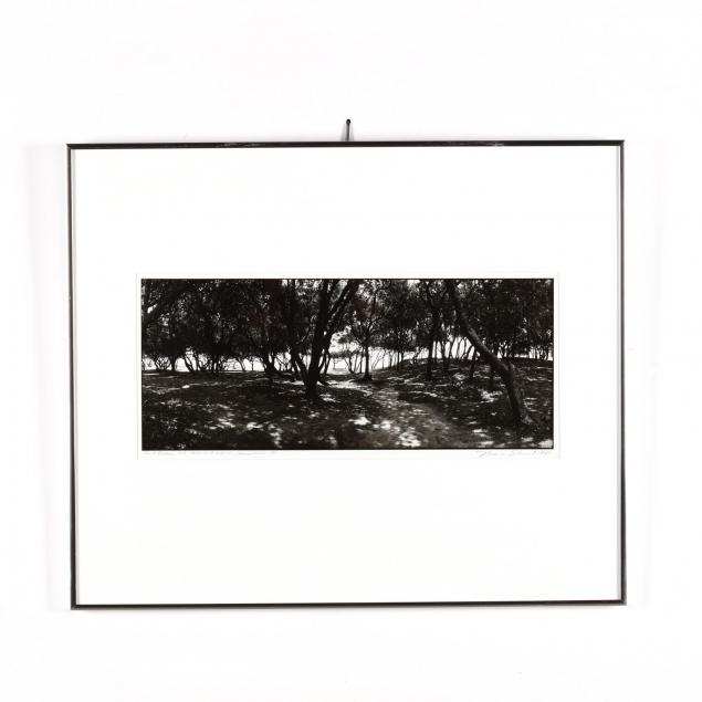 nona-short-nc-i-fort-fisher-nc-the-trees-and-beach-summer-89-i