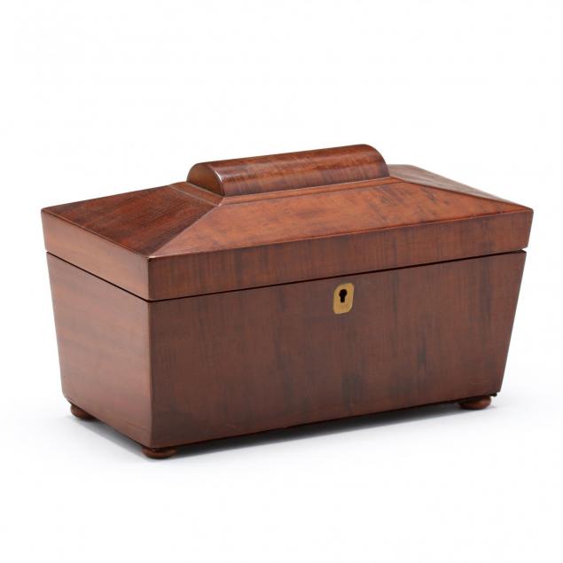 georgian-casket-form-tea-caddy