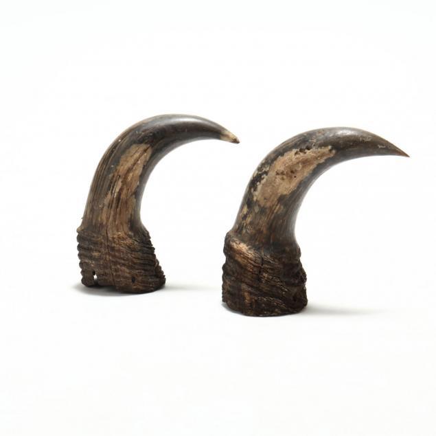 pair-of-horns