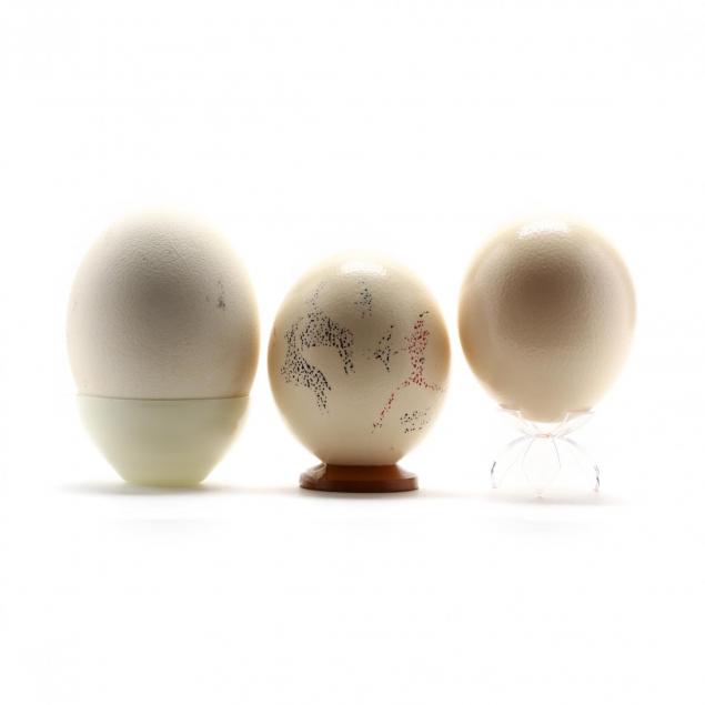 three-ostrich-eggs