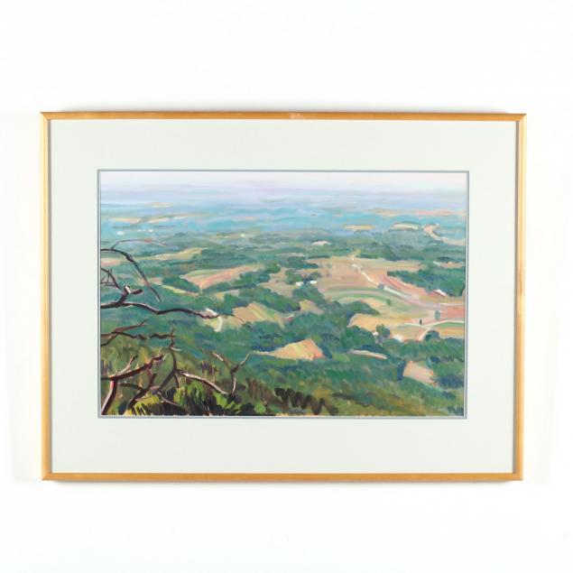 henry-link-nc-untitled-valley-view-from-a-hilltop