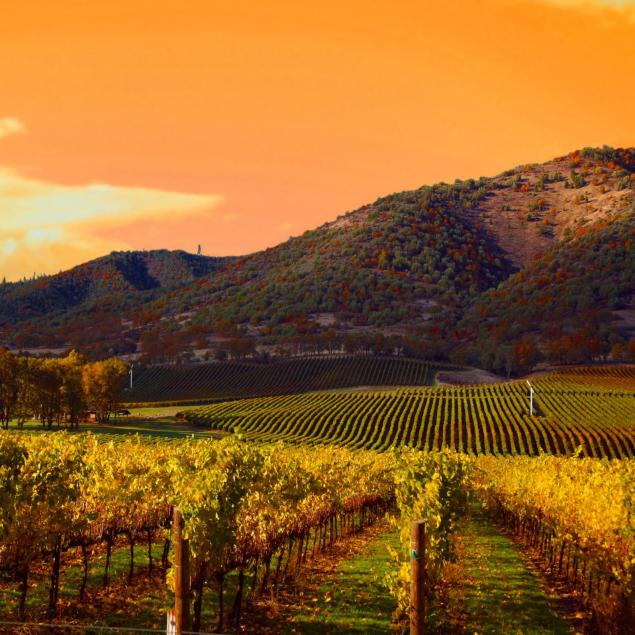 2013-2014-2015-dutton-goldfield-winery