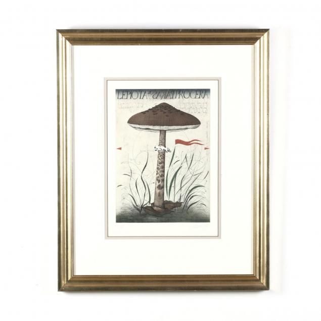 alois-janak-german-b-1924-i-tall-parasol-lepiota-i