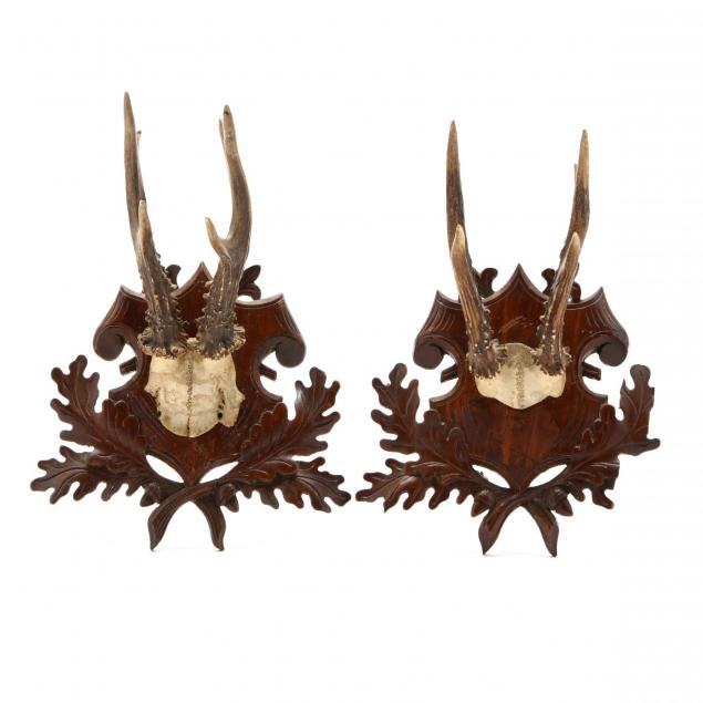 a-pair-of-antique-mounted-stag-horns