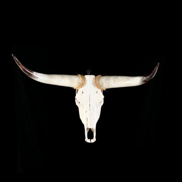 wall-mount-longhorn-steer-skull-and-horns