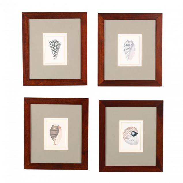 four-framed-seashell-prints-pottery-barn