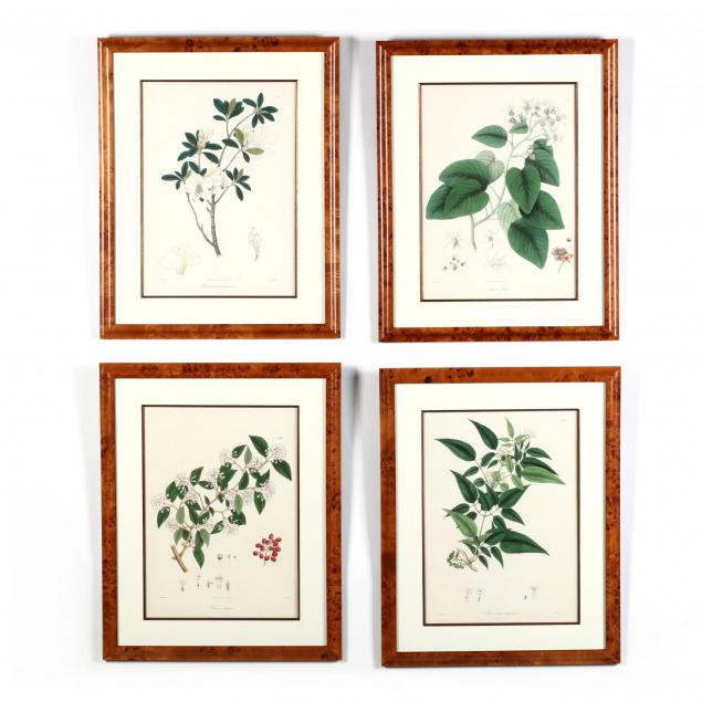 four-framed-engelmann-botanical-prints