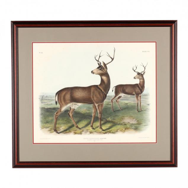 after-john-james-audubon-american-1785-1851-i-columbian-black-tailed-deer-i
