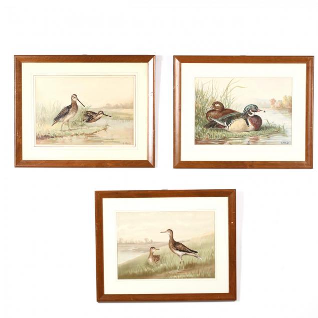 alexander-pope-jr-american-1849-1924-three-works-from-i-upland-game-birds-and-waterfowl-of-the-united-states-i