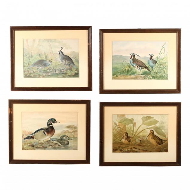 alexander-pope-jr-american-1849-1924-four-works-from-i-upland-game-birds-and-waterfowl-of-the-united-states-i