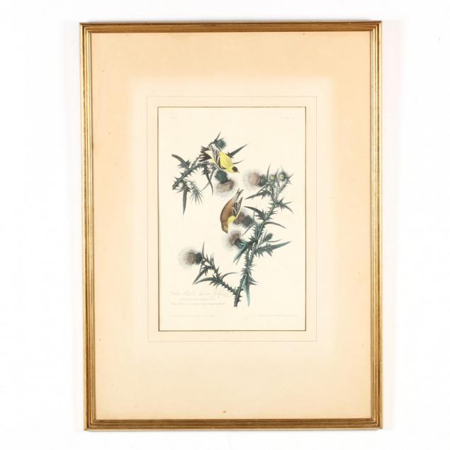 after-john-james-audubon-am-1785-1851-i-yellow-bird-or-american-goldfinch-i
