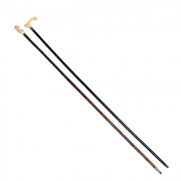 two-ladies-walking-stick-canes