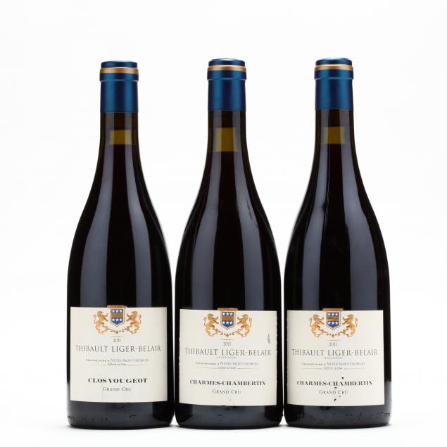 2011-charmes-chambertin-clos-vougeot